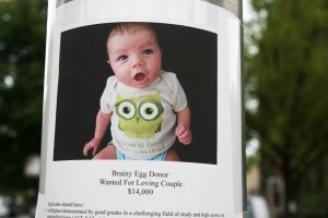 February 18 image Egg and I