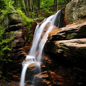 Poetry by Carol&nbsp;Bachofner