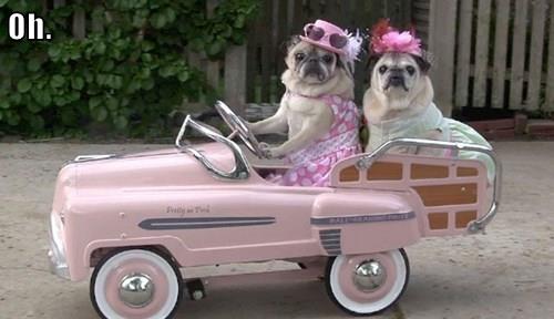 10bf56aa-80db-4446-b705-cd7120a054a1