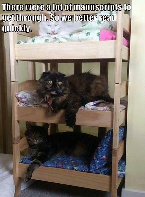 8cfd6a33-9fee-4ac0-8efe-0684fc623758