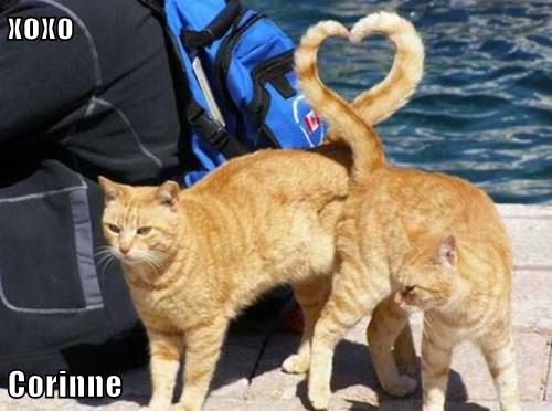 99baa77b-4a2e-4b38-81b9-2ba62f67a24f