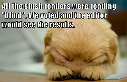 bf027b73-170b-4e48-abcb-ed20d79f8972