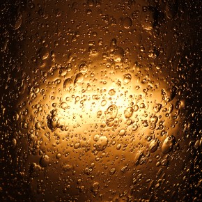 Poetry by Lucy&nbsp;Wainger