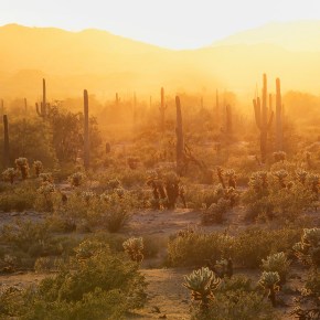 Non Fiction by Xochitl-Julisa&nbsp;Bermejo