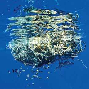 (No) Rules of Engagement by Maya&nbsp;Sonenberg