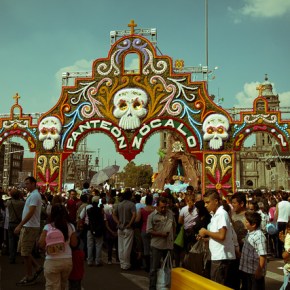 Nonfiction by Todd&nbsp;Gastelum