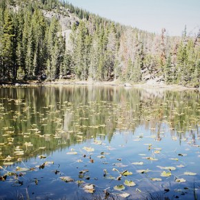 Nonfiction by Chelsey&nbsp;Clammer