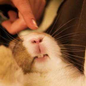 Poetry by Cade&nbsp;Leebron