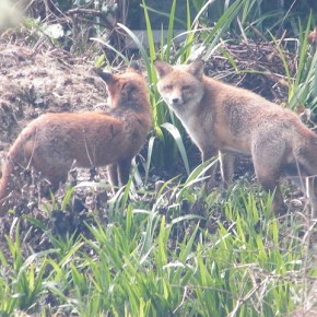 Poetry by John&nbsp;Arias