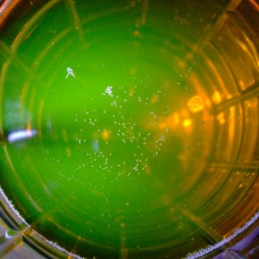 Nonfiction by Erin&nbsp;Jones