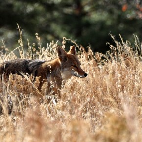 Nonfiction by Beverly Tan&nbsp;Murray