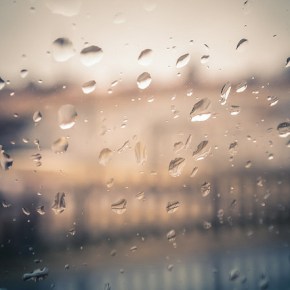 Nonfiction by Kelsey&nbsp;Landhuis